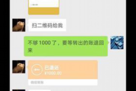 新沂为什么选择专业追讨公司来处理您的债务纠纷？